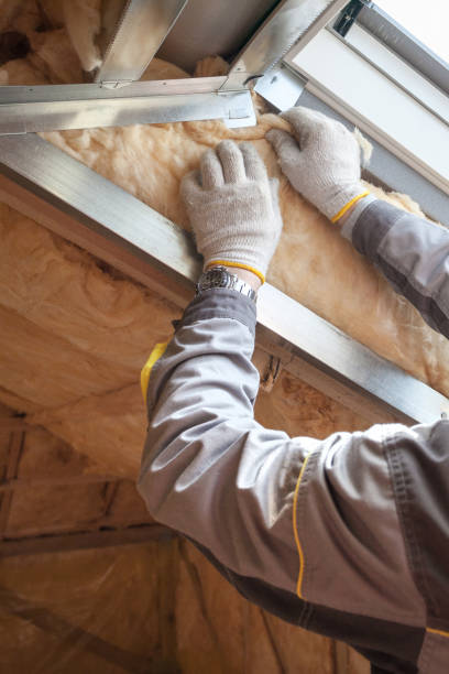 Best Insulation Installation Services in Lorenz Park, NY